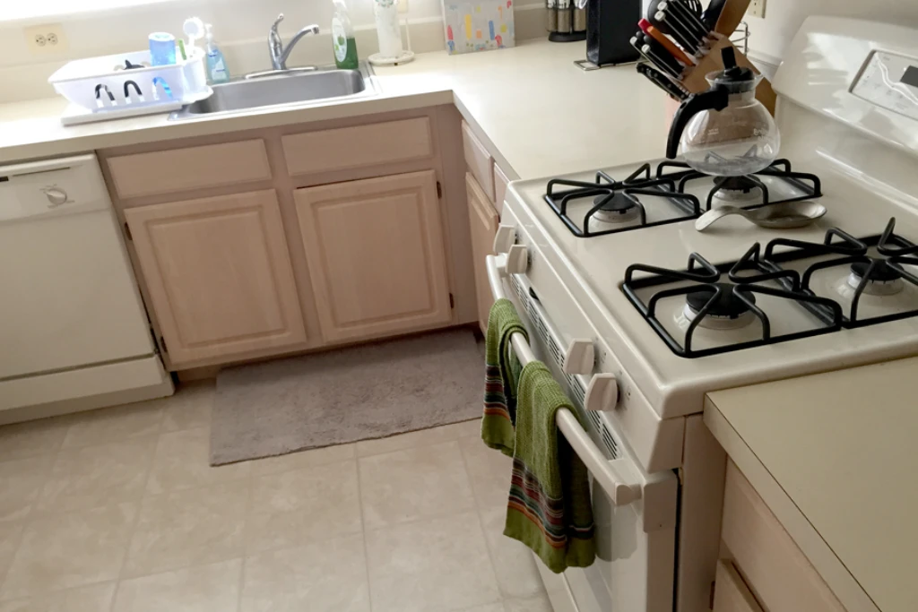 Seneidas-project-photo-106.webp