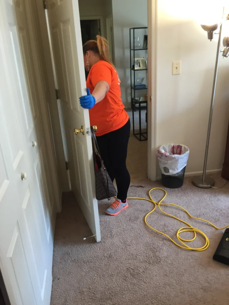 Seneidas - Deep Cleaning Service- SD-001